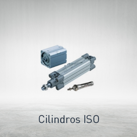 Cilindros ISO